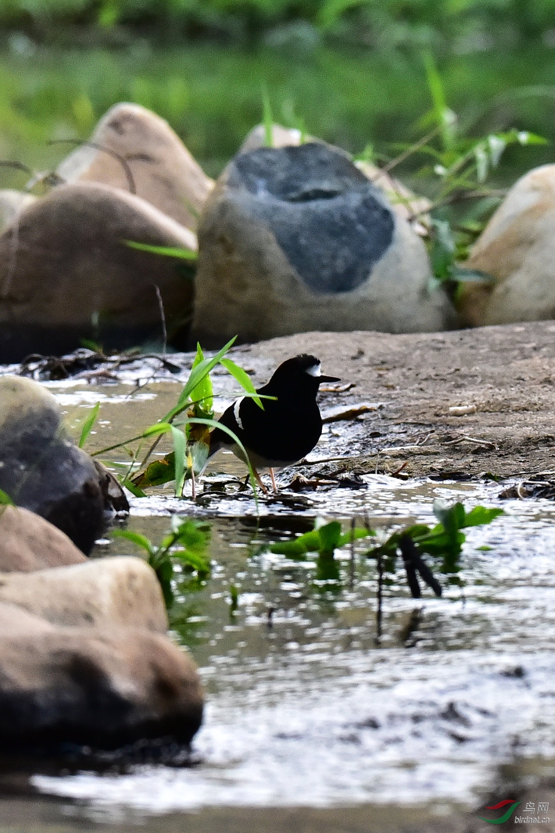 DSC_0787.JPG