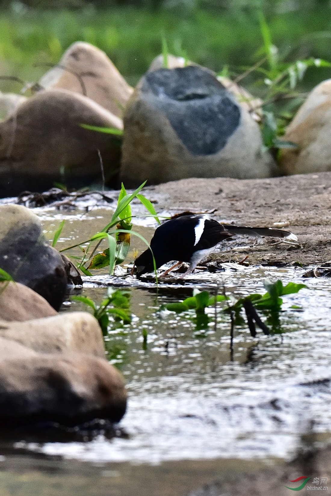 DSC_0788.JPG