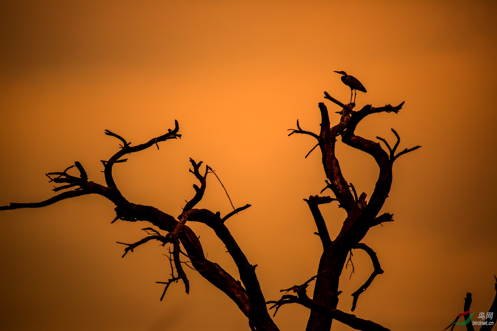 P29A9239-0_2.jpg
