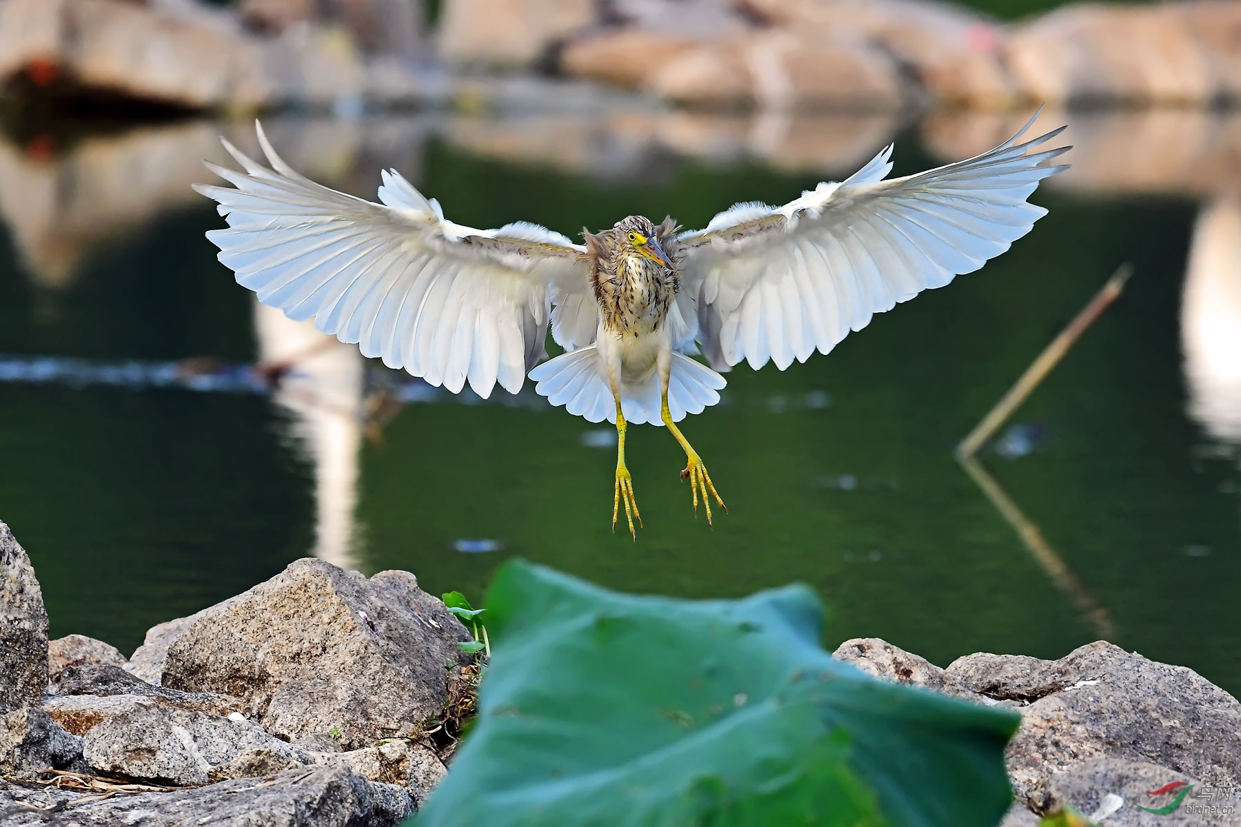 DSC_6061.jpg