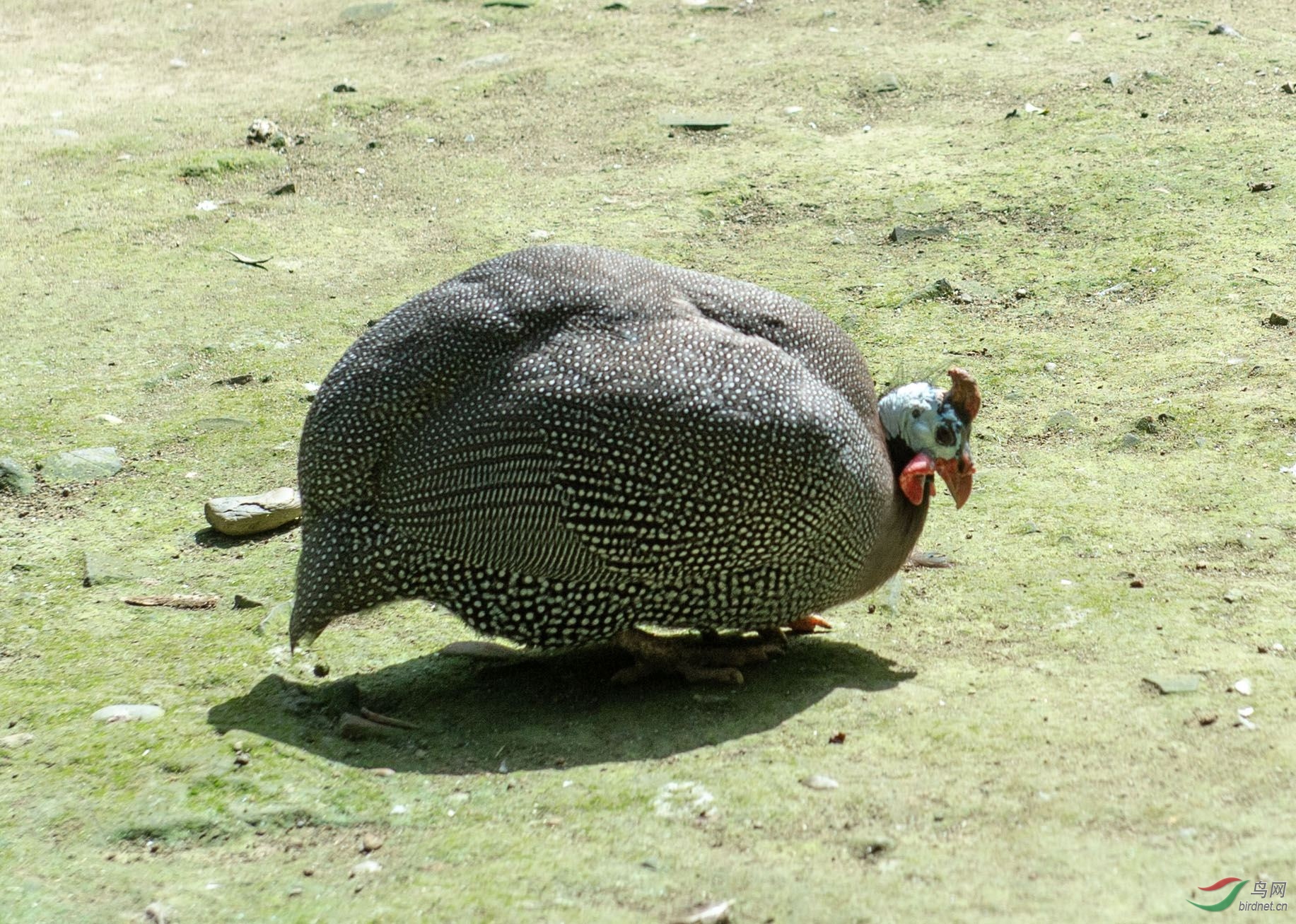 20��7��26 (146)_����.jpg