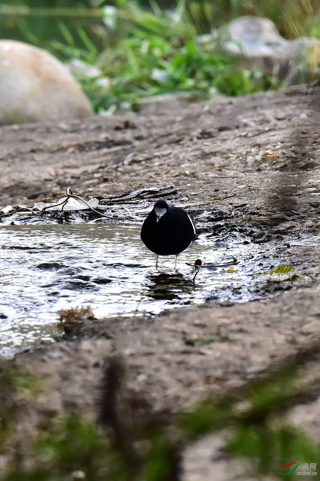 DSC_0789.JPG