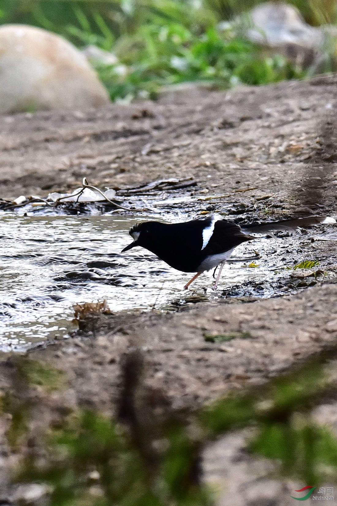 DSC_0790.JPG
