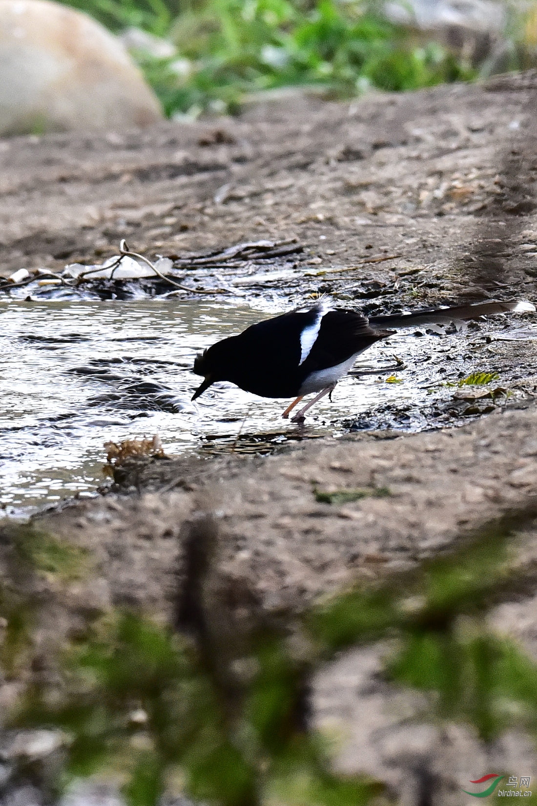 DSC_0791.JPG