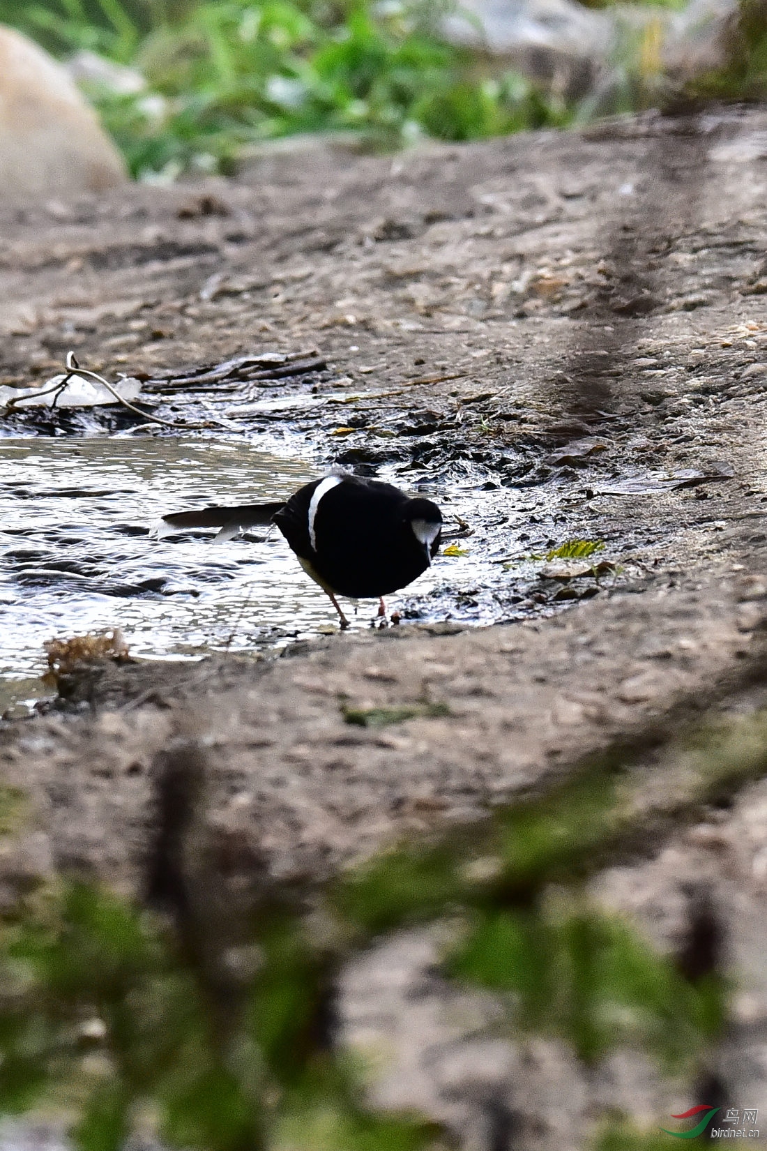 DSC_0792.JPG