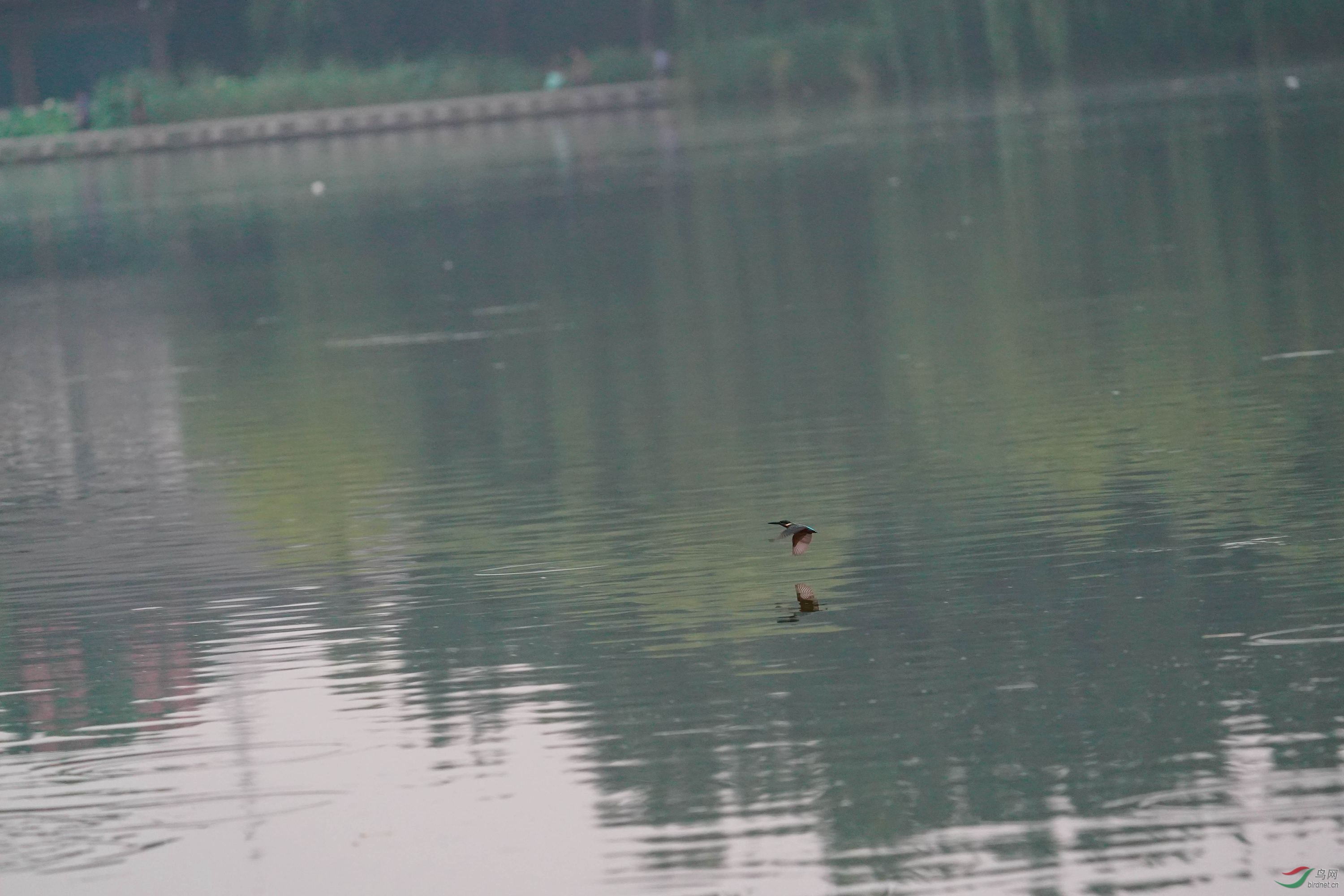 DSC06584_副本.jpg