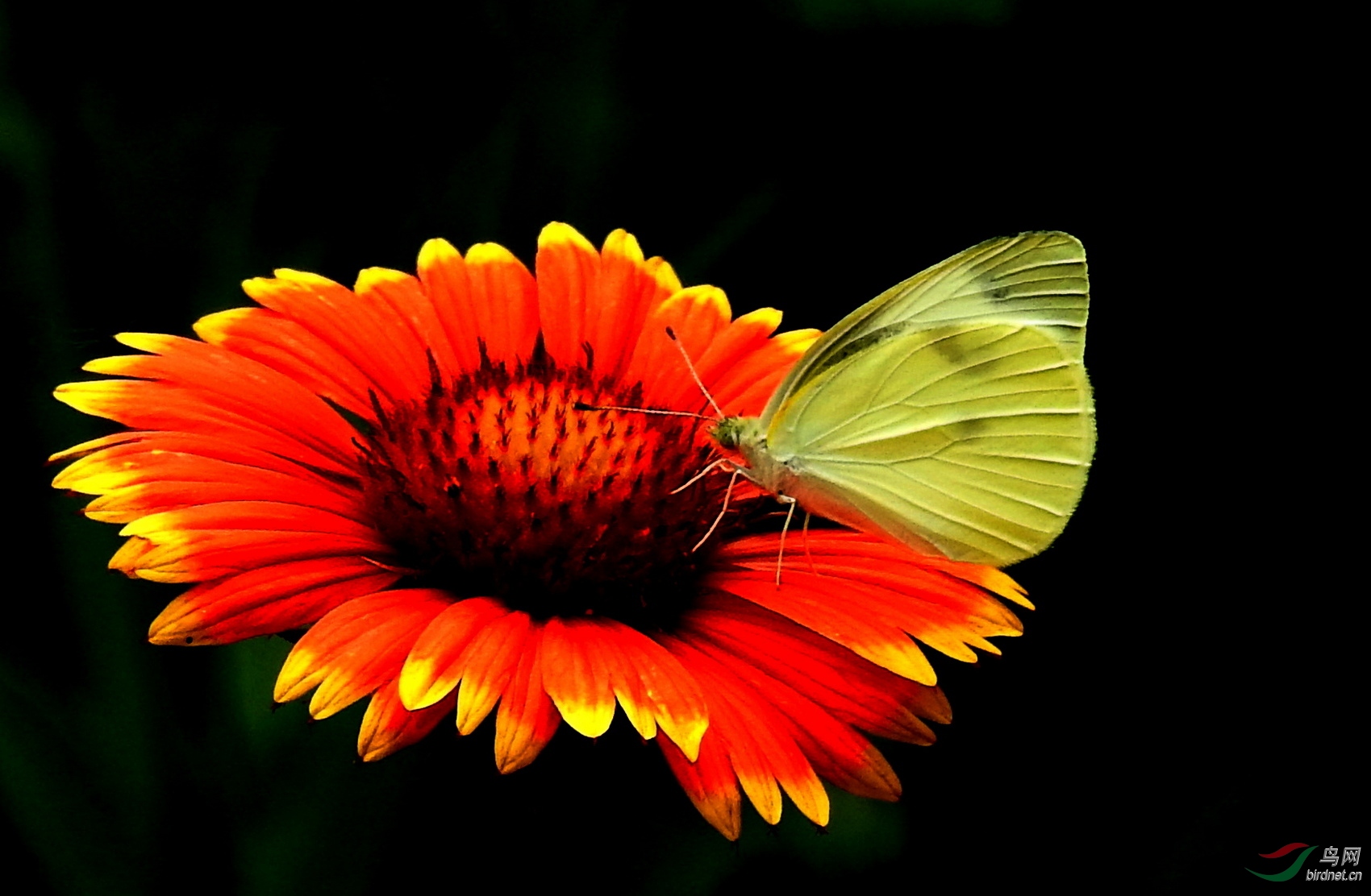 DSCN4813.JPG