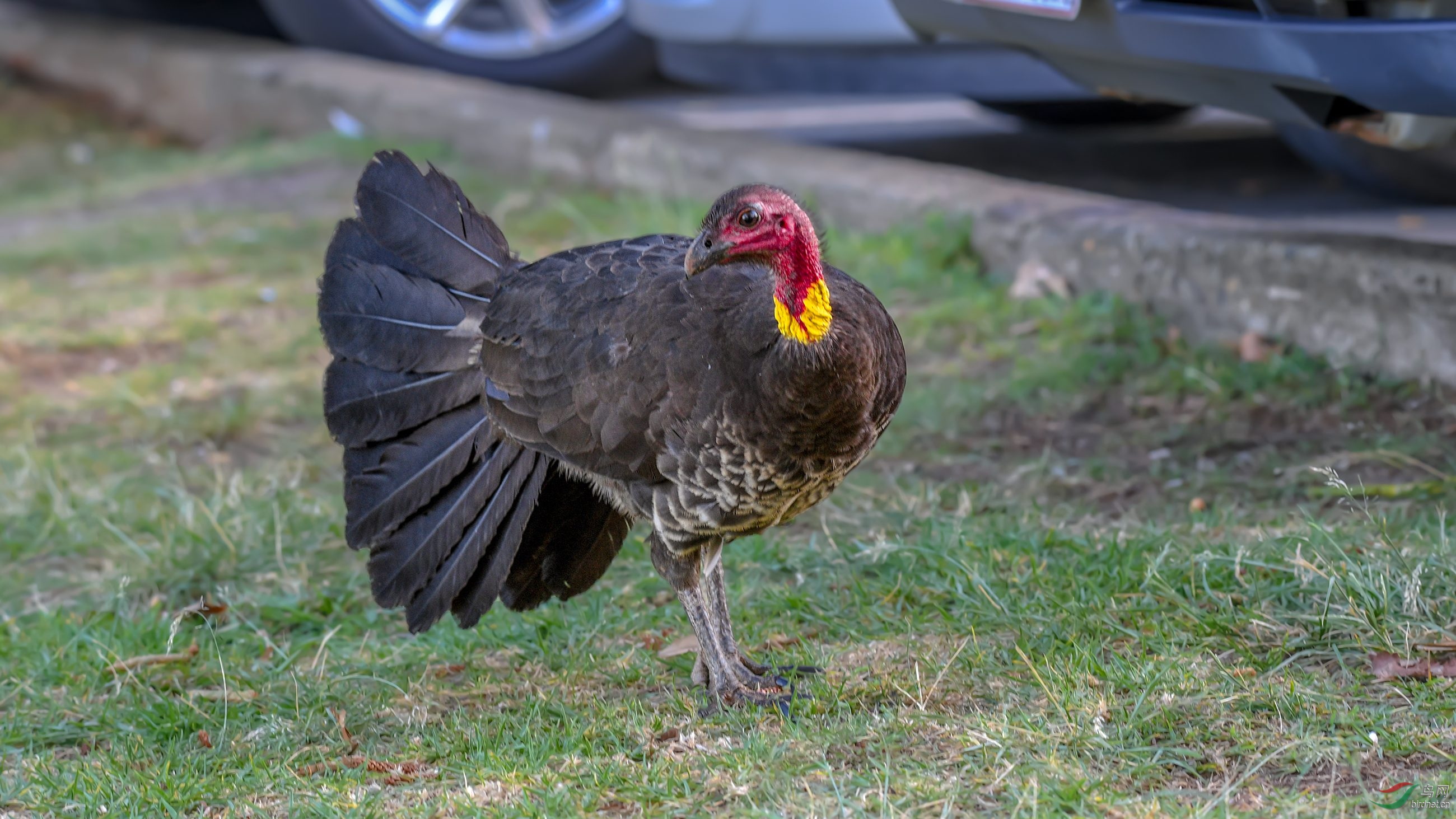 DSC_46401.jpg