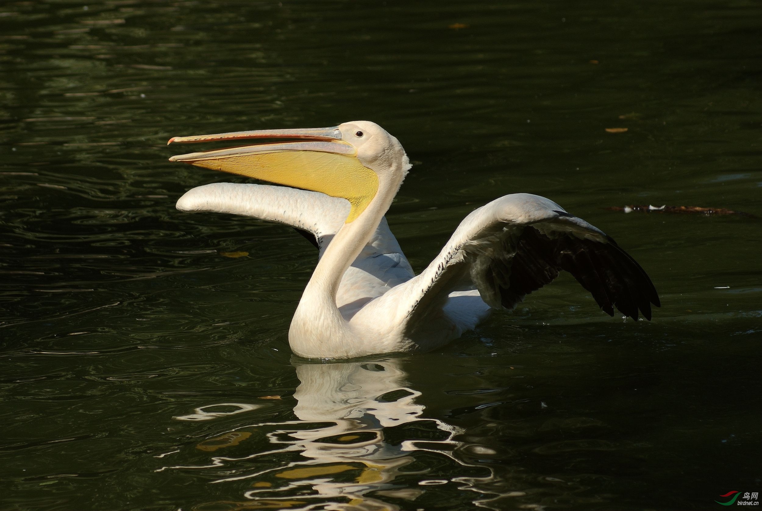 浑厚!引吭大叫的解释"江山如画"-第1张图片-中天博客
