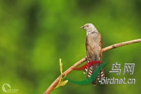 ɽ�������� ��ʦ�����ڹ���׳�������� ��ɫ��2.jpg