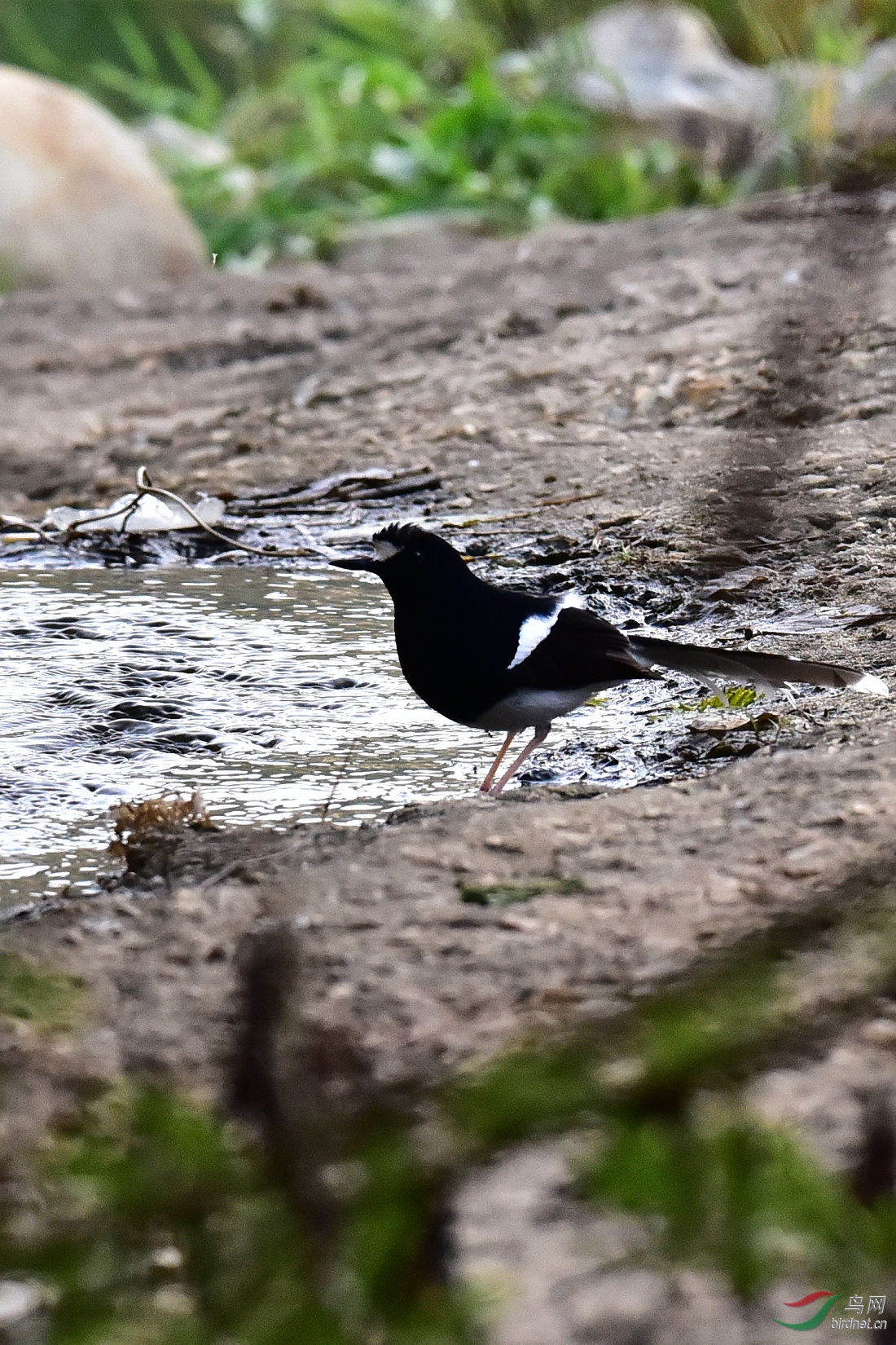 DSC_0793.JPG