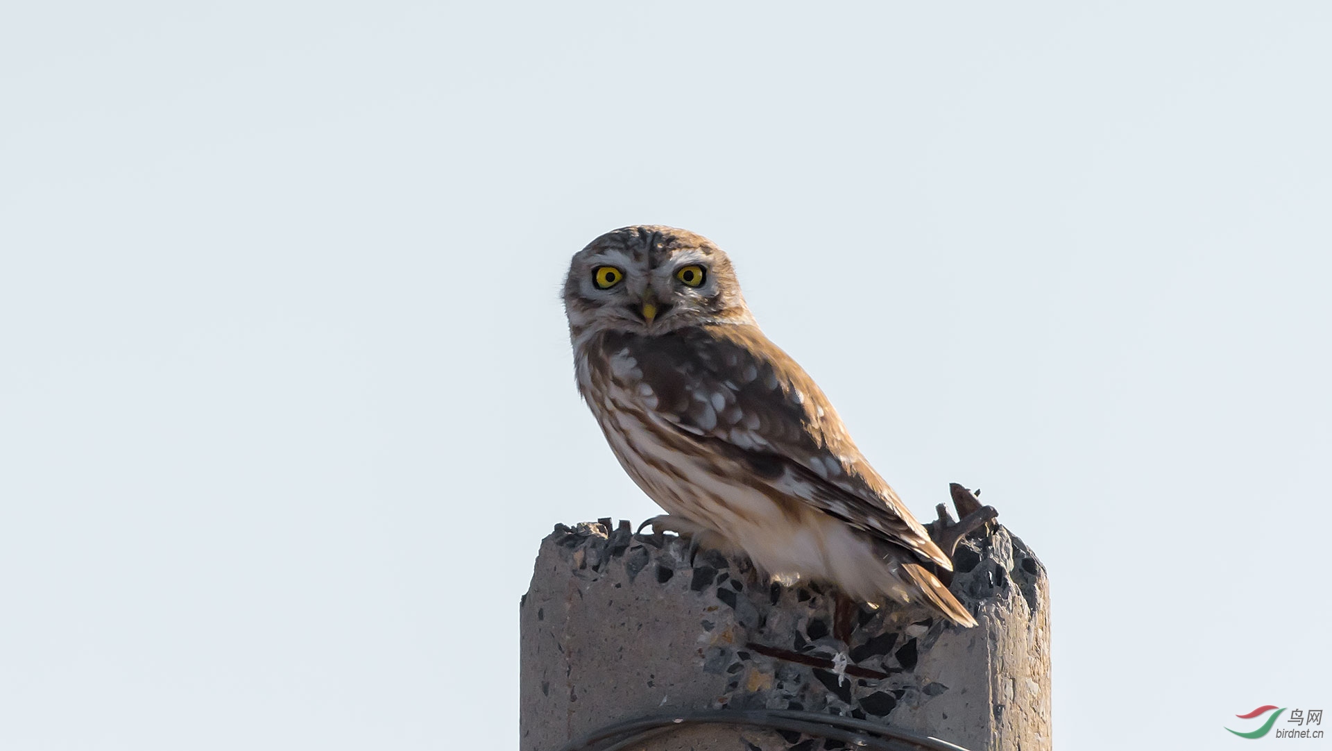DSC_0810.jpg