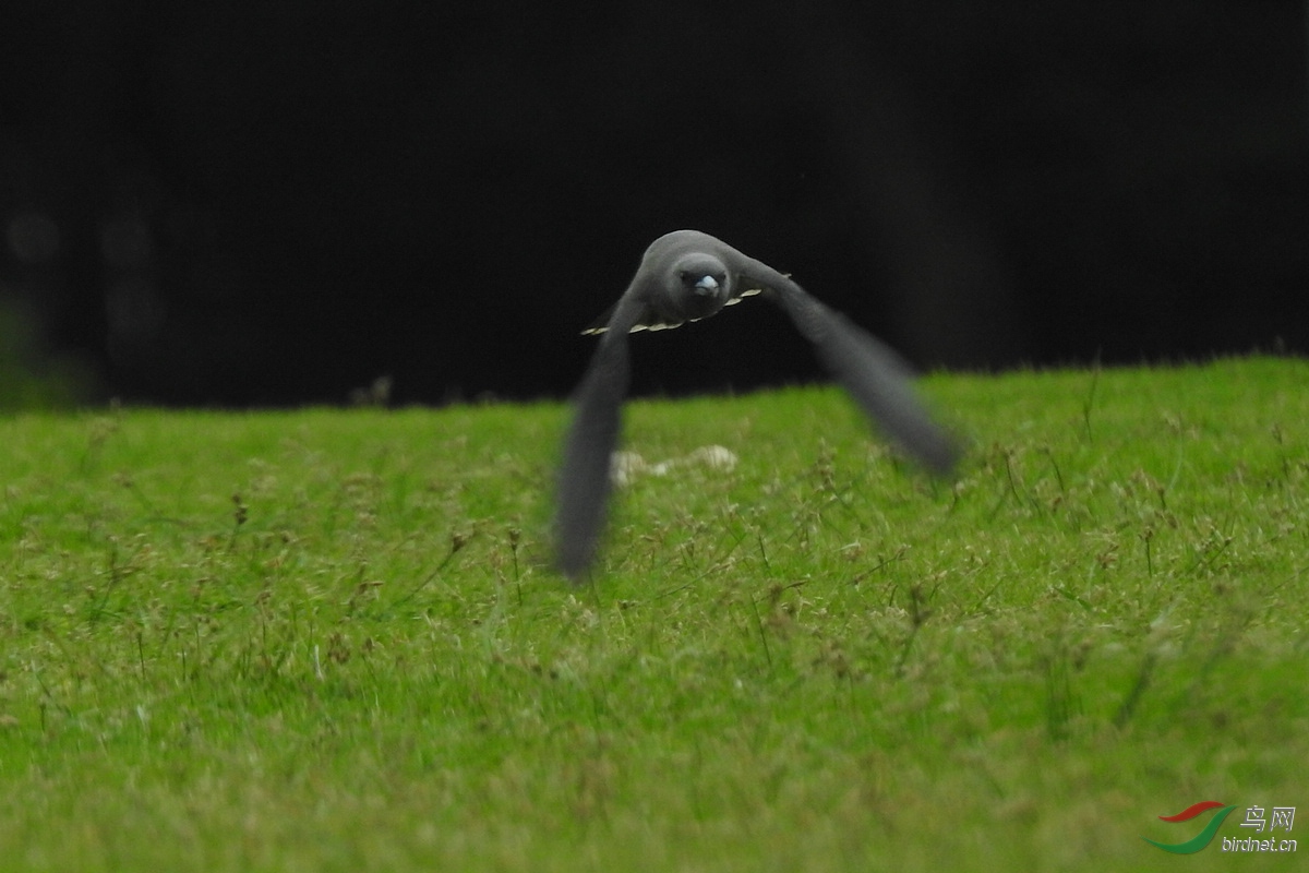 DSCN3291.JPG
