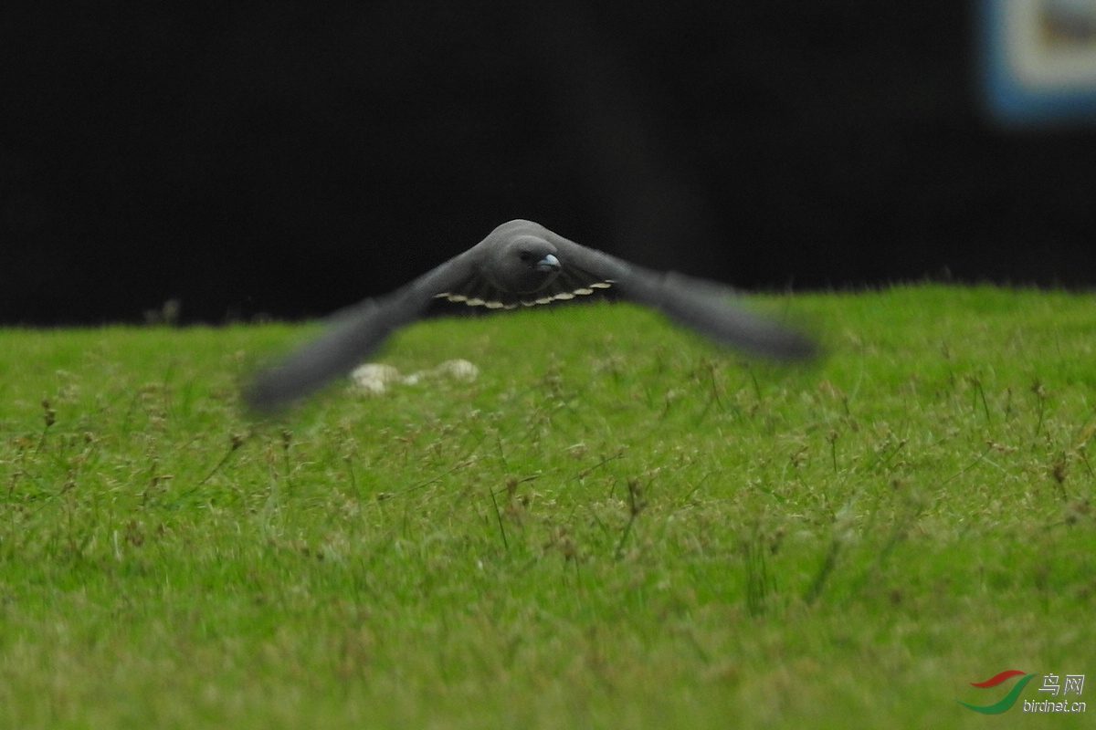 DSCN3292.JPG