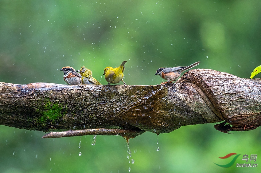 ���ֵĴ�������