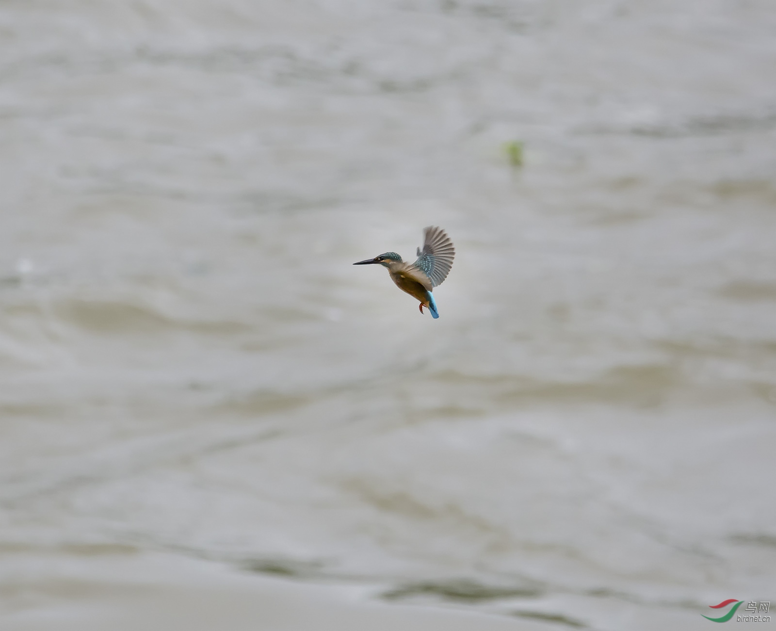 DSC_1181.jpg