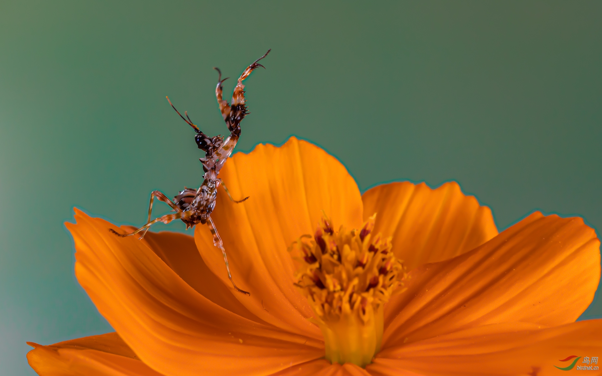E50A6332-1.jpg