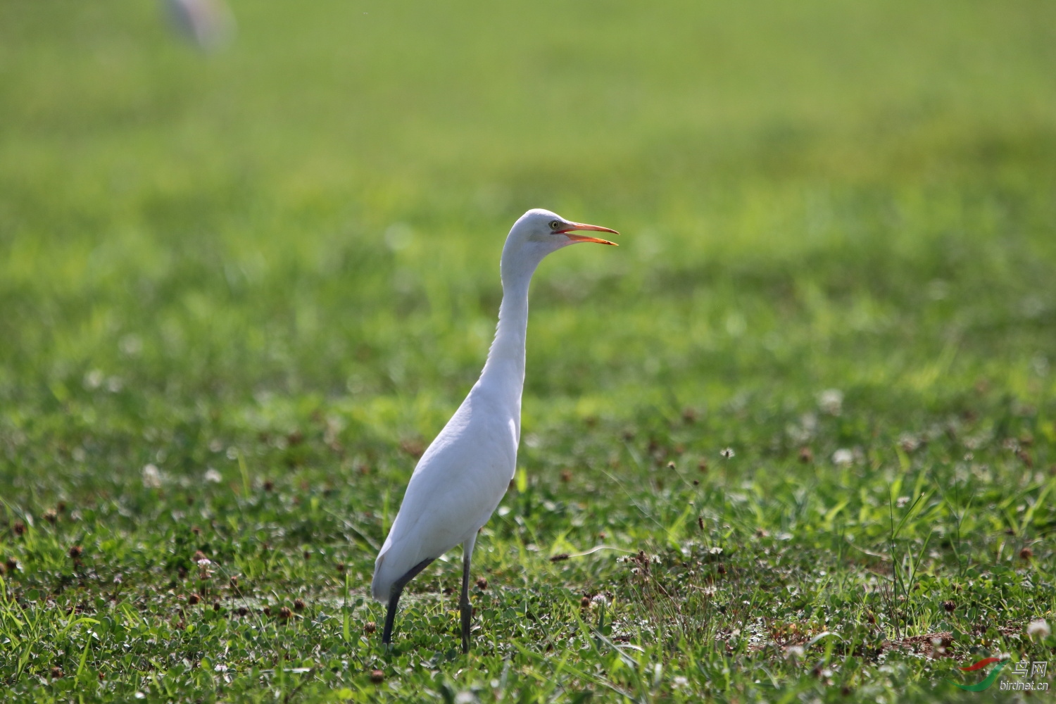 IMG_4756.JPG
