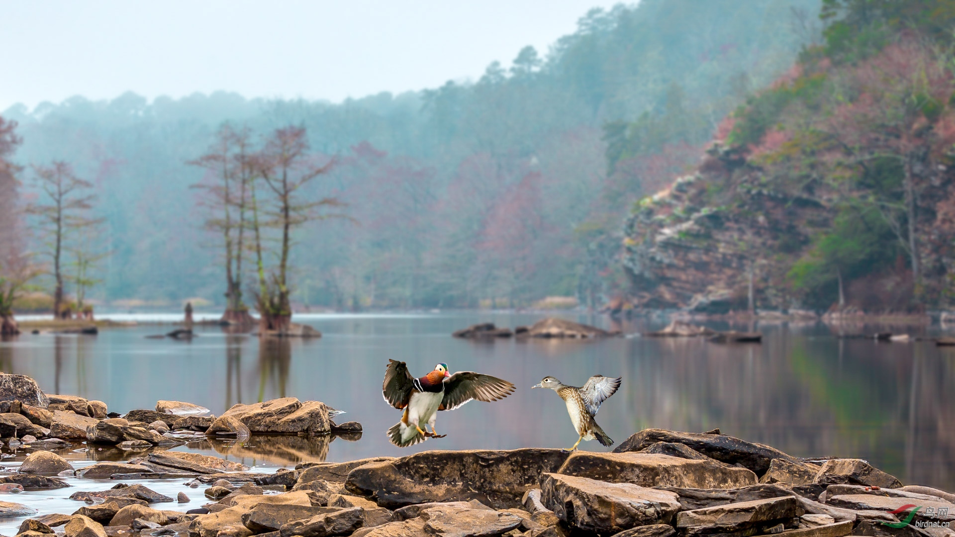 �Ļ� 1920x1080_500k.jpg