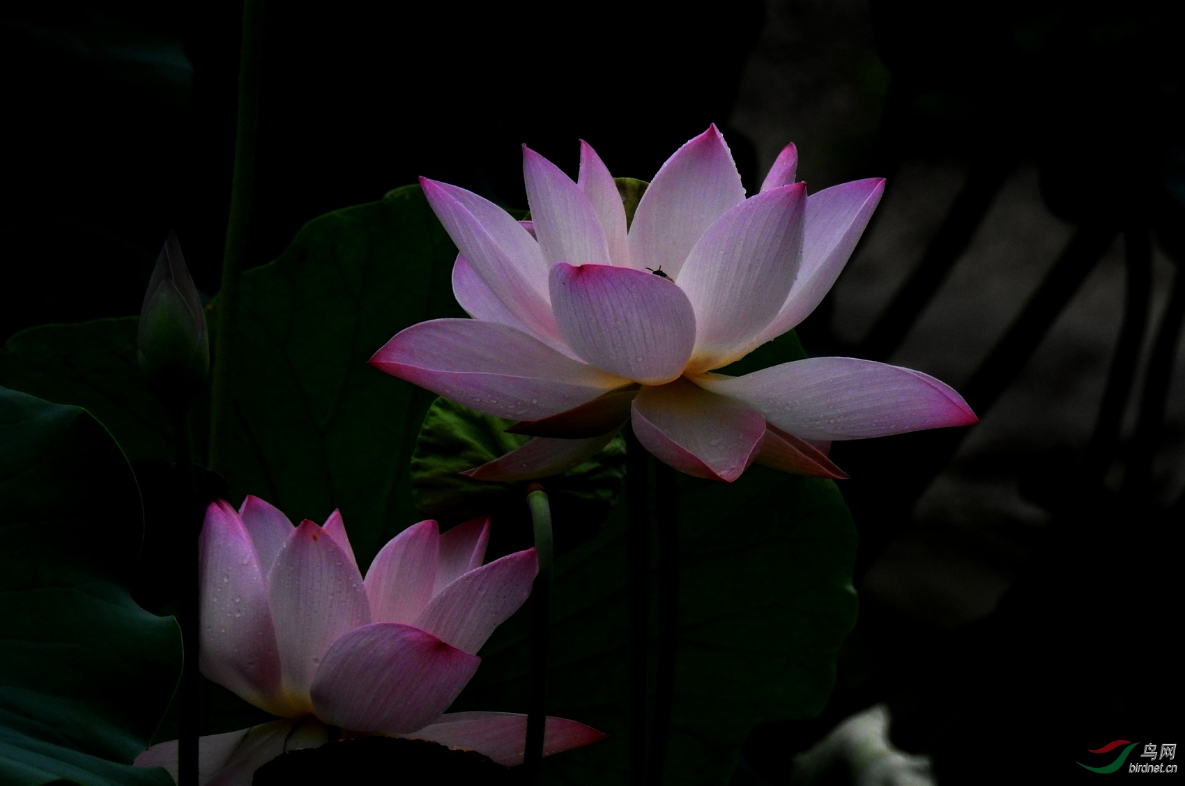 DSCN5456.JPG