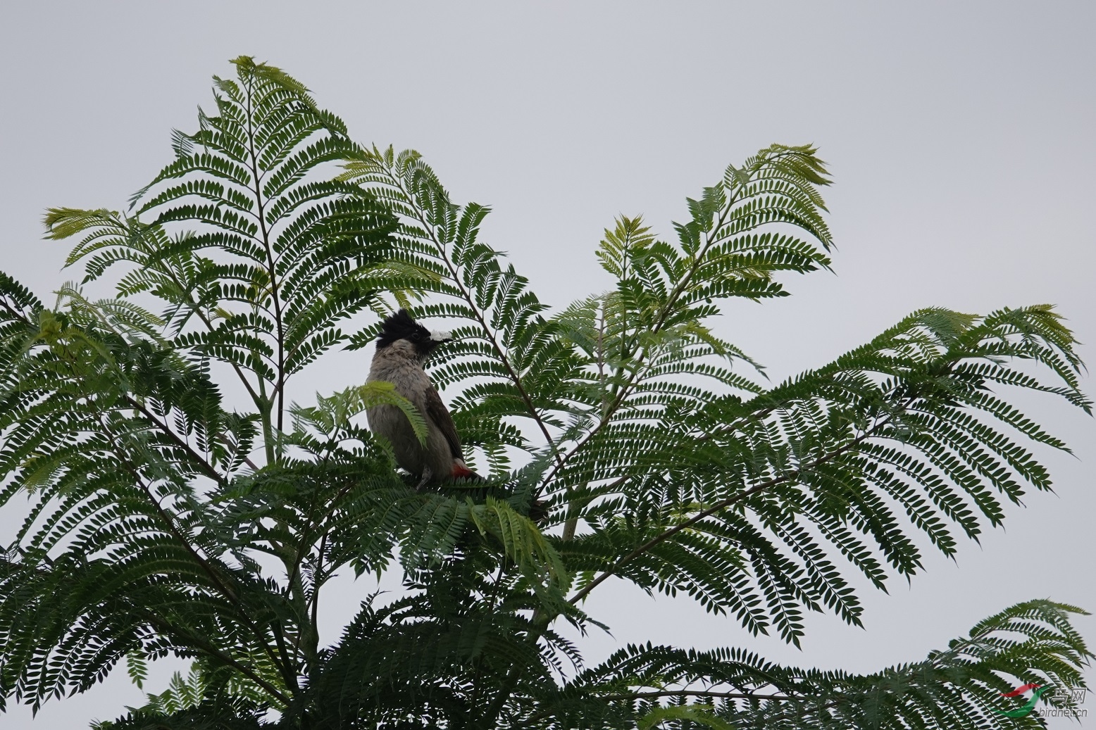 DSC00698.JPG