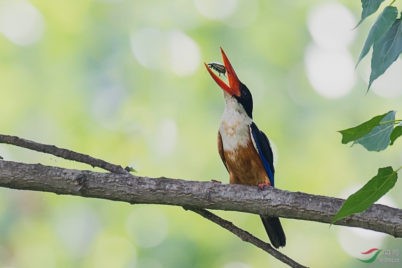 XCG_8122 - ����.jpg