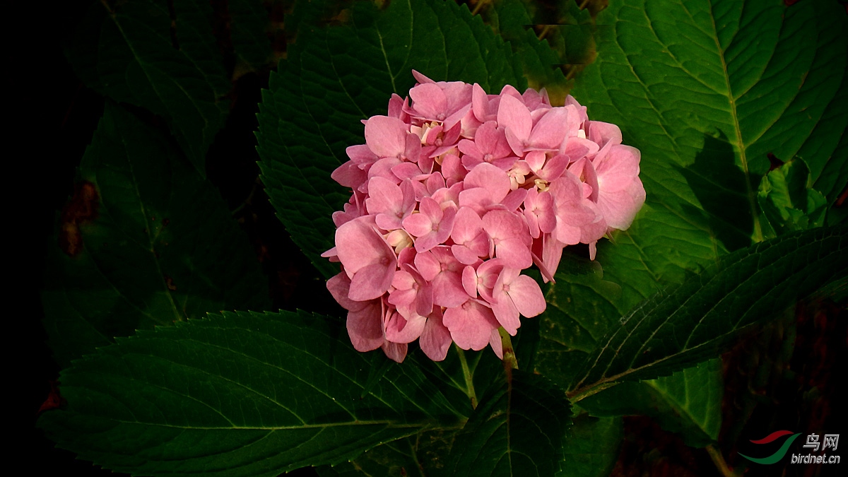 P7200028.jpg