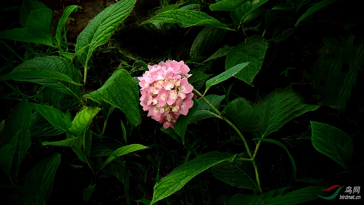 P7200030.jpg