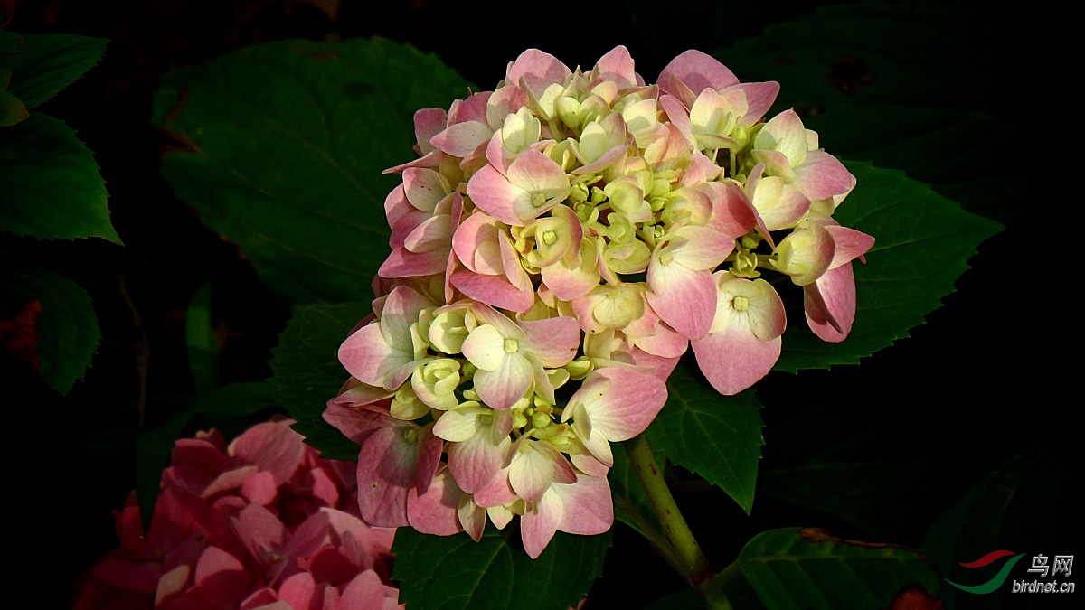 P7200035.jpg
