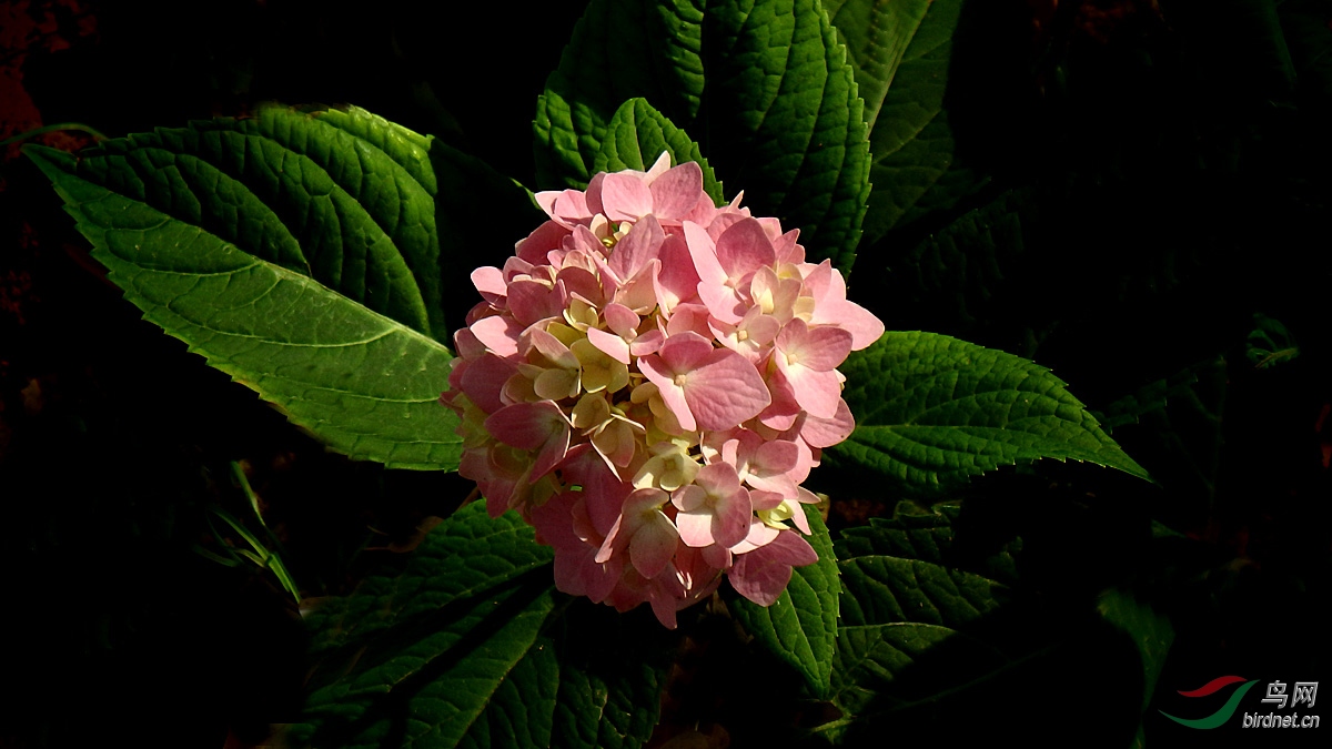 P7200026.jpg