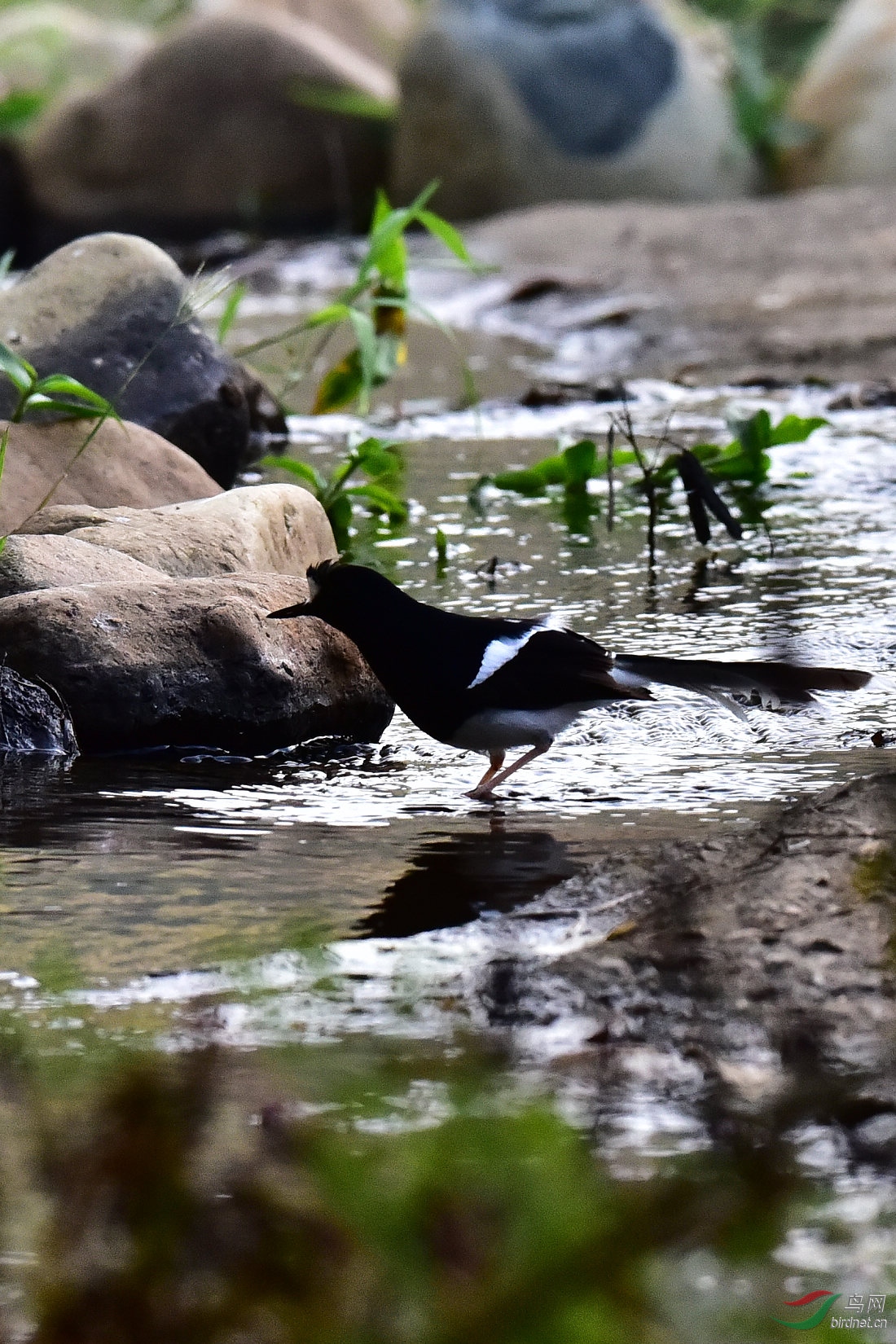 DSC_0815.JPG