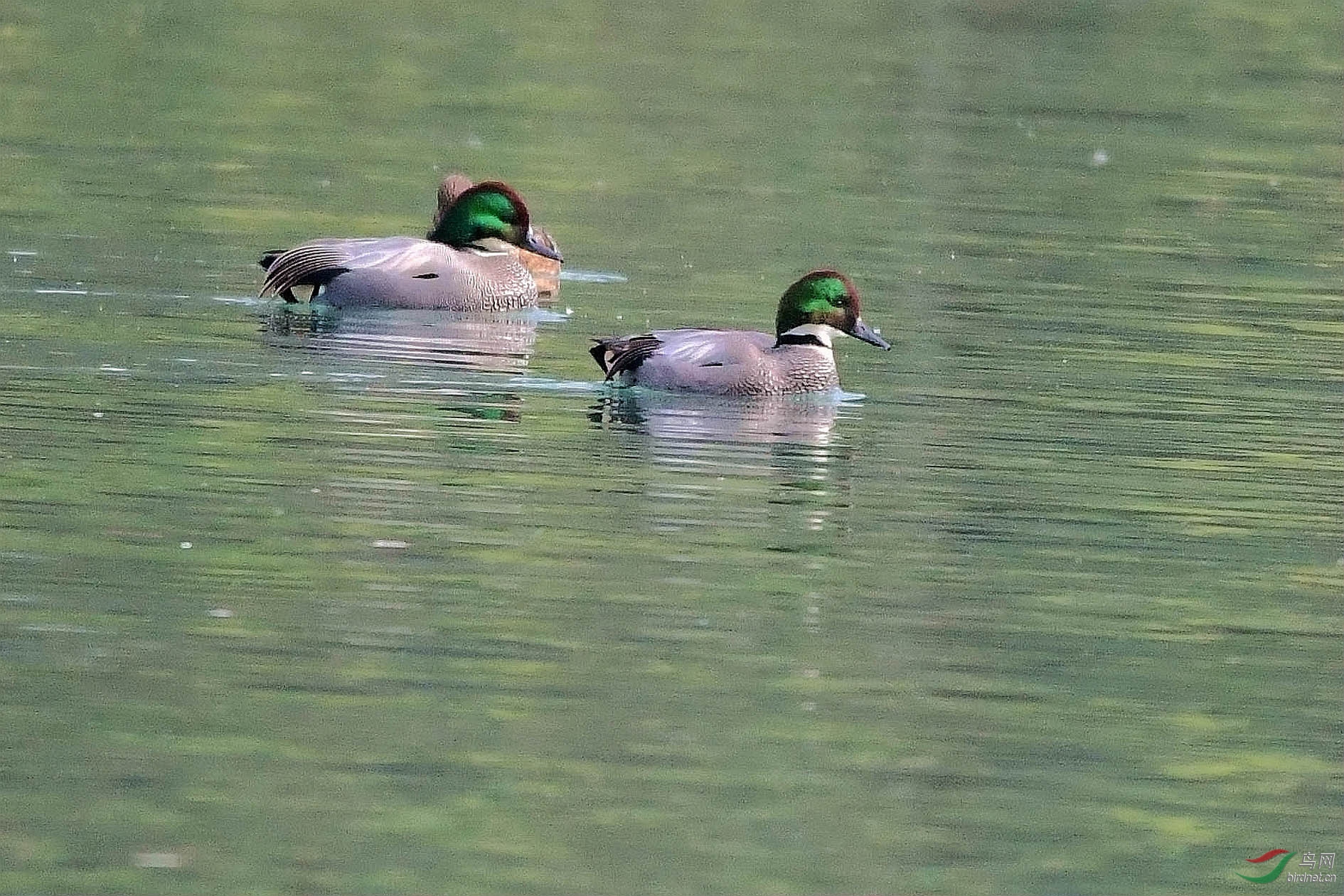 DSC_0850_����.jpg