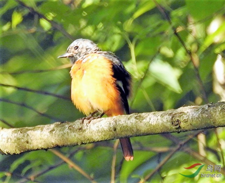 DSCN2777.jpg