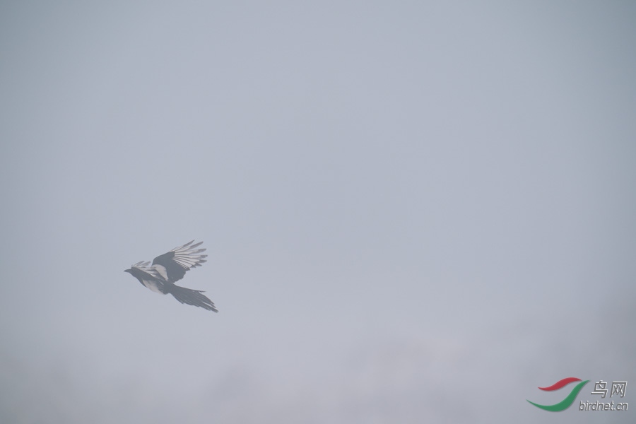 DSC00727.jpg