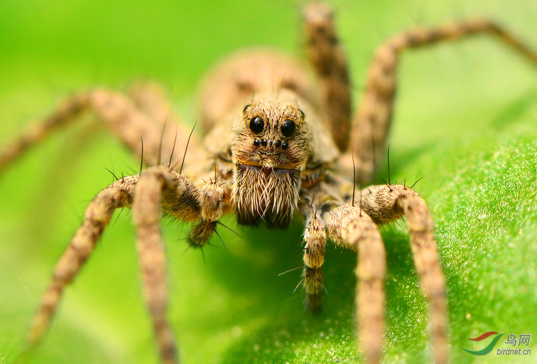 DSC_1896 ��������.jpg