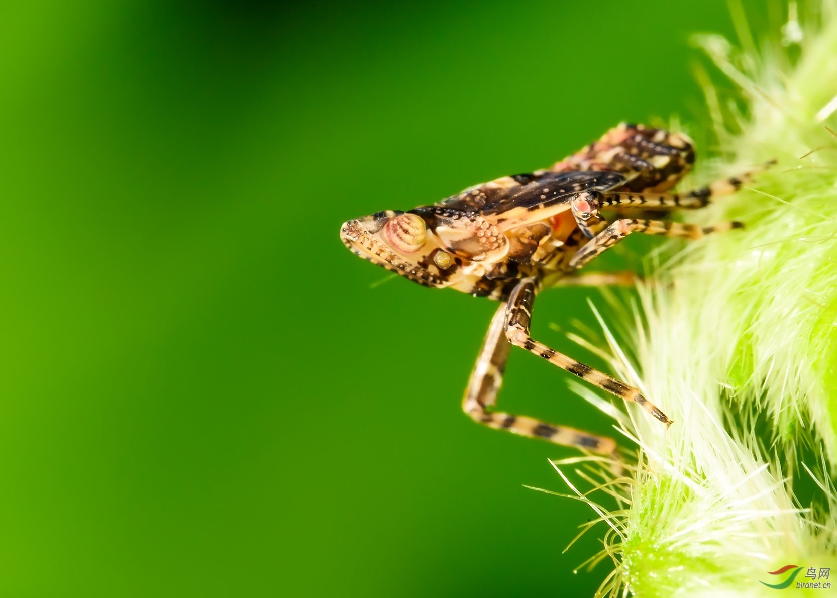 DSC_9066-x.jpg