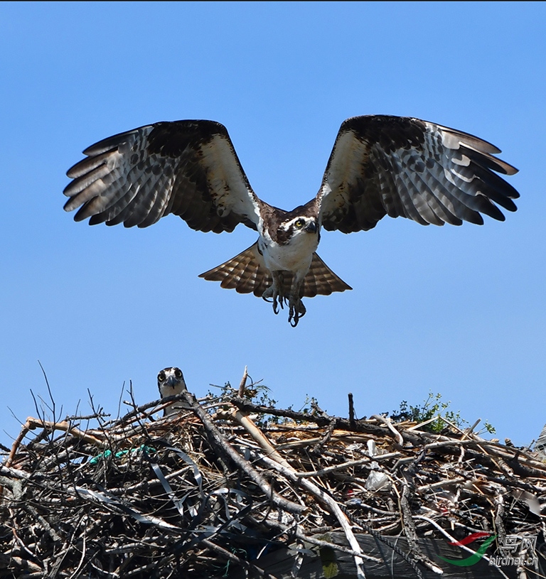 ���� DSC_9074.JPG