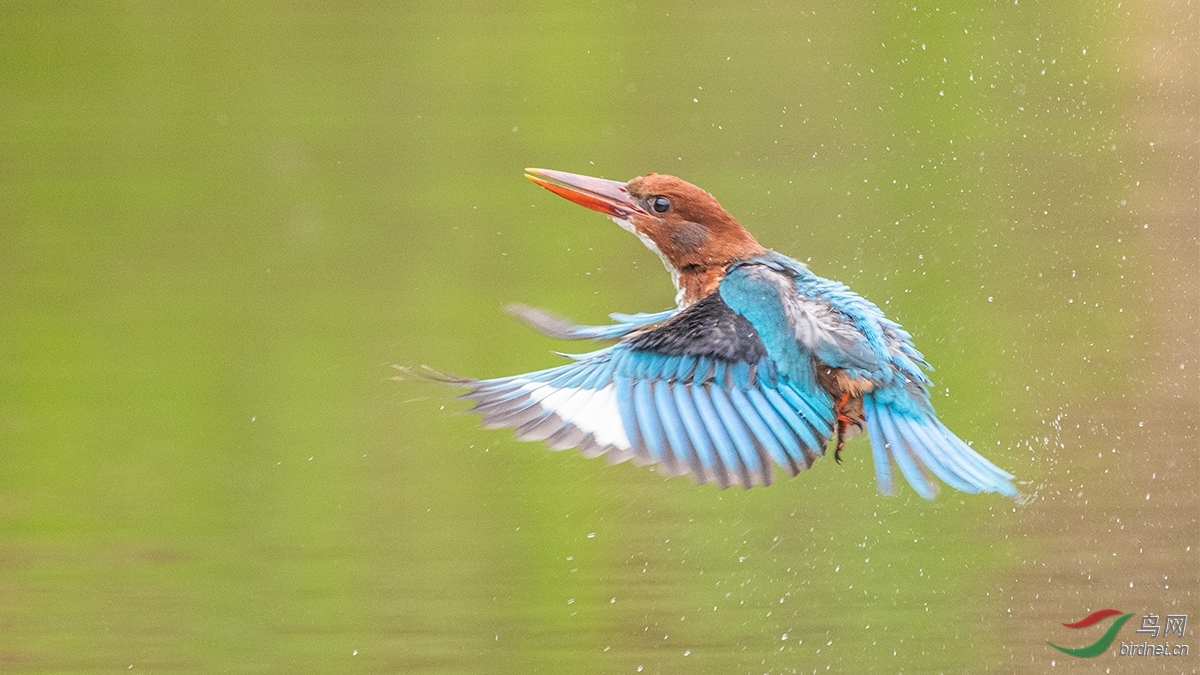 DSC_4264_��ͼ��.jpg