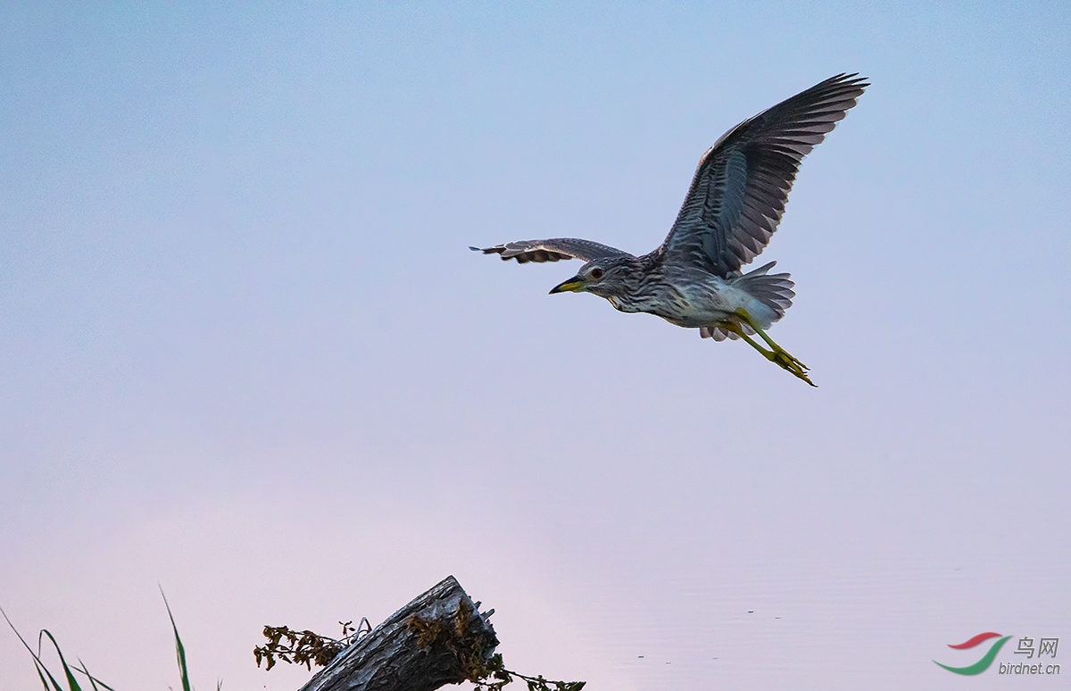 20200726 (264).jpg
