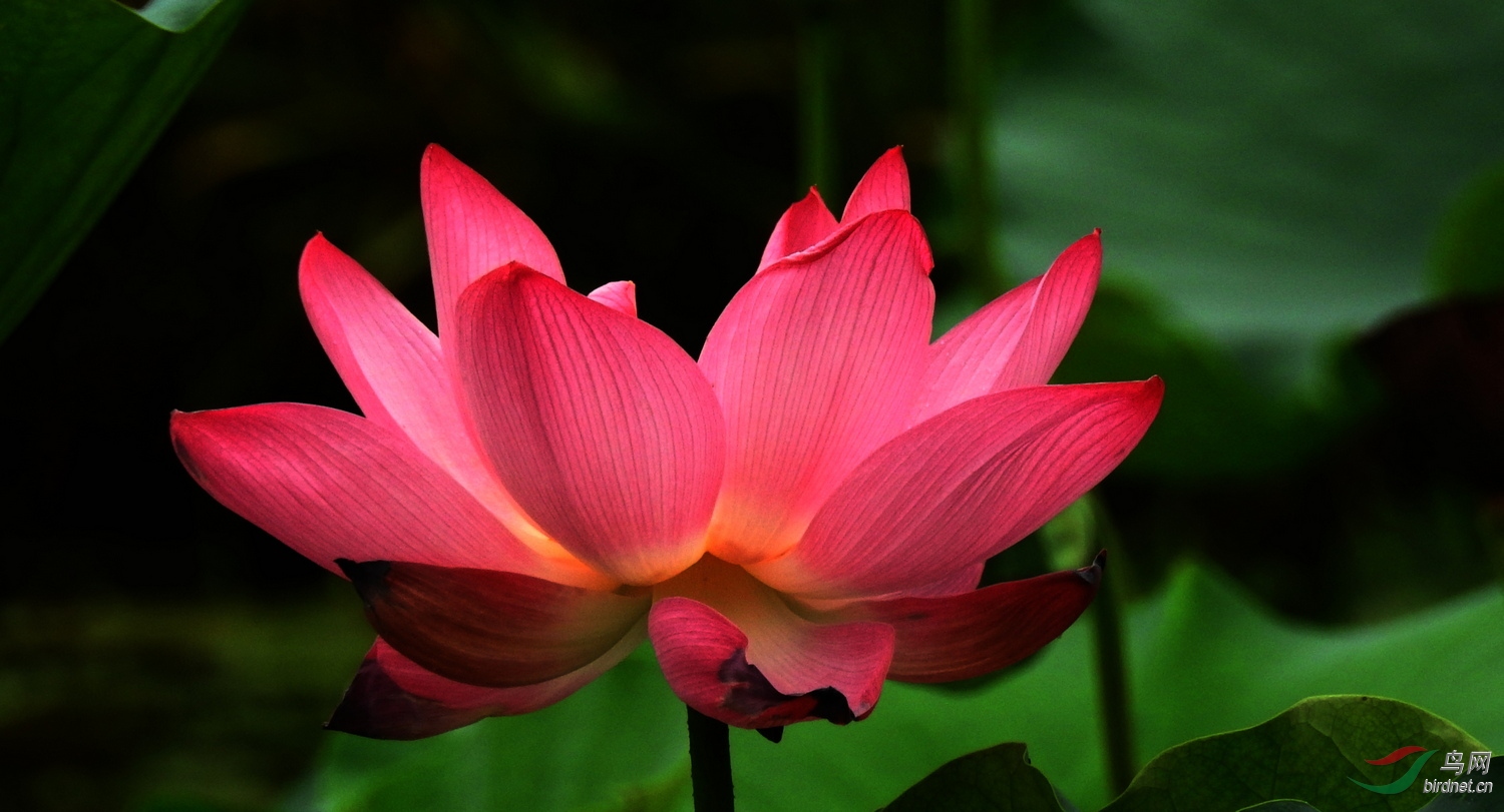 DSCN5521.JPG