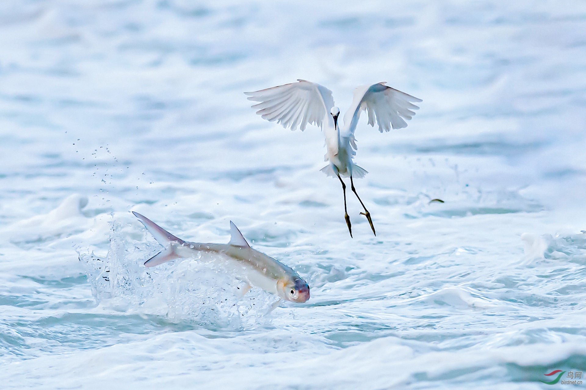 DSC_5134-1.jpg