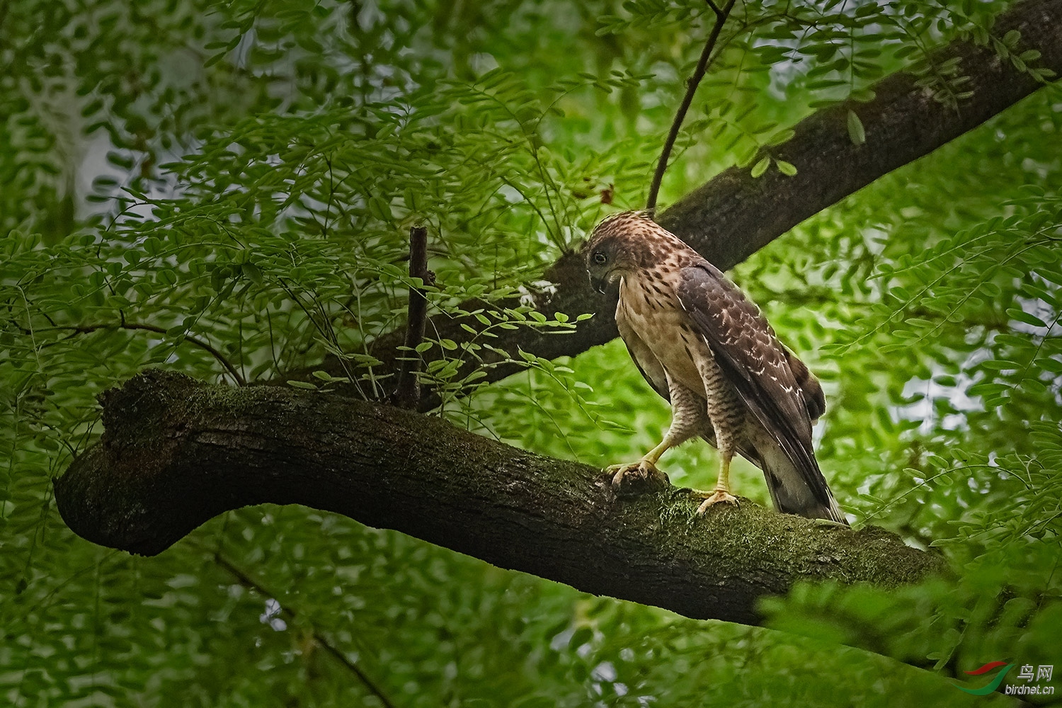 DSC_4003-3.jpg