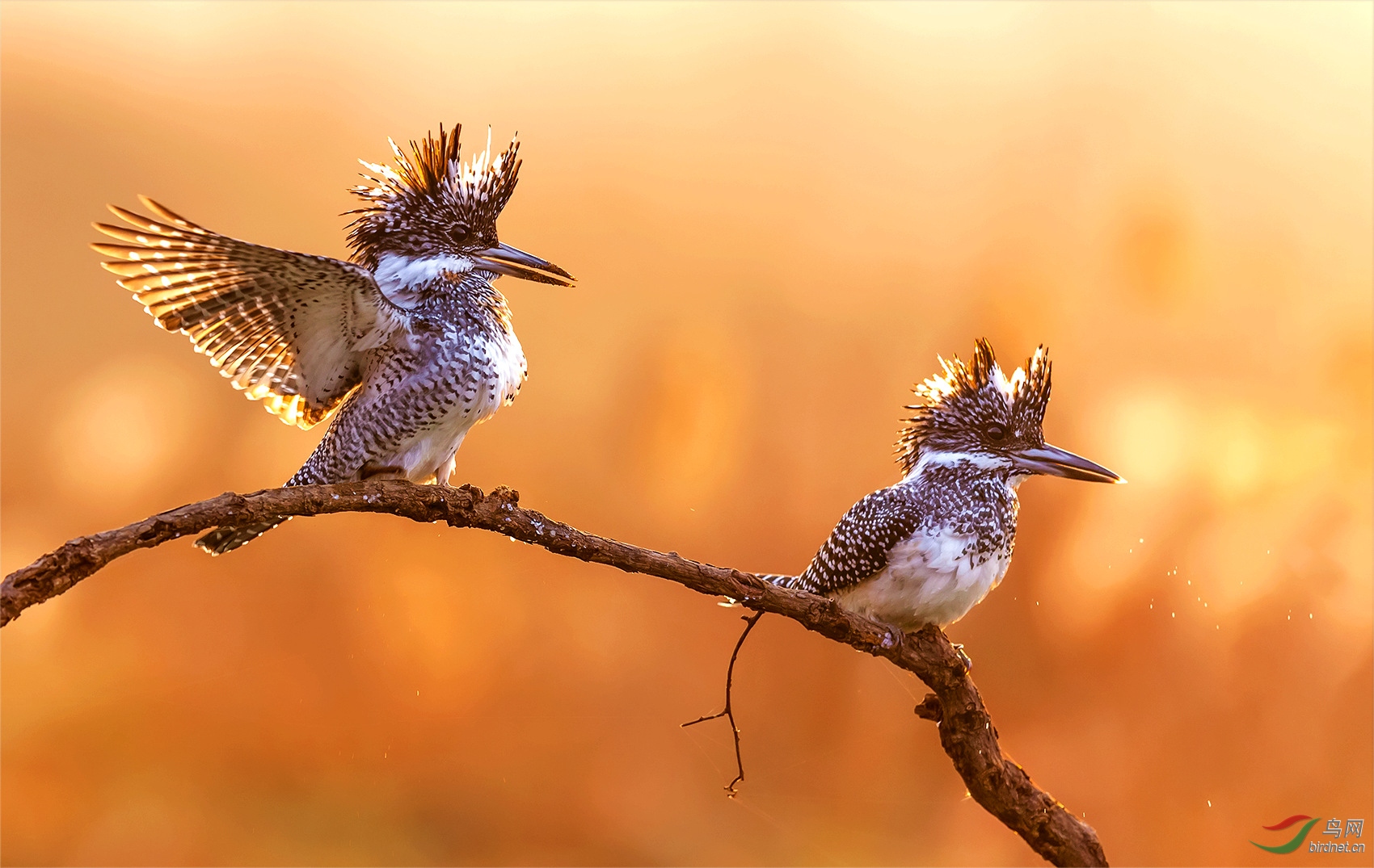 ���㹷 061_����.jpg