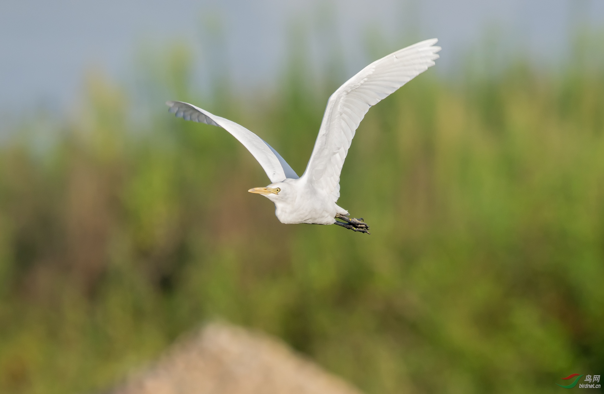 DSC_1562.jpg