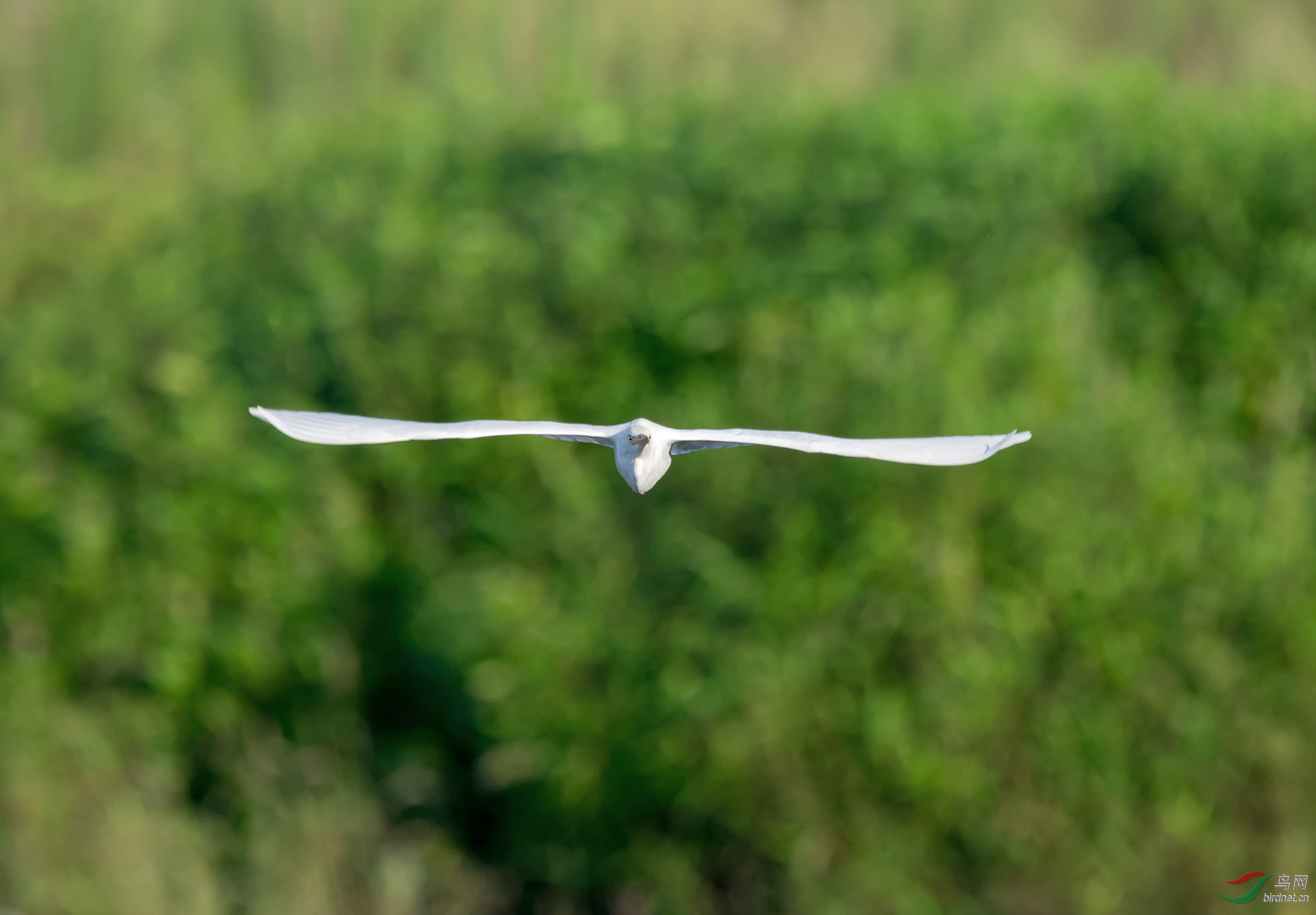 DSC_1561.jpg