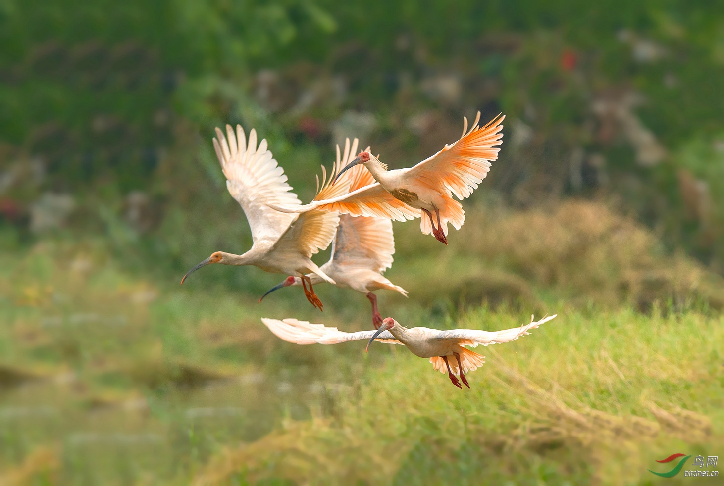DSC_5779��������j_����.jpg