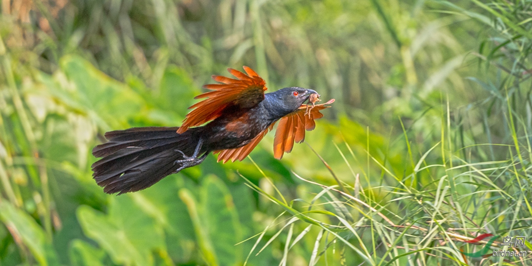 ��DSC_6088.jpg