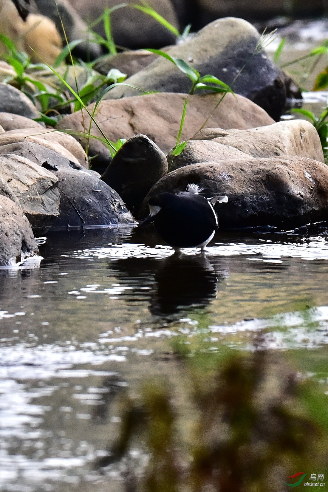 DSC_0835.JPG