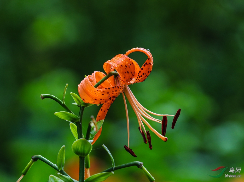011����_conew2.jpg