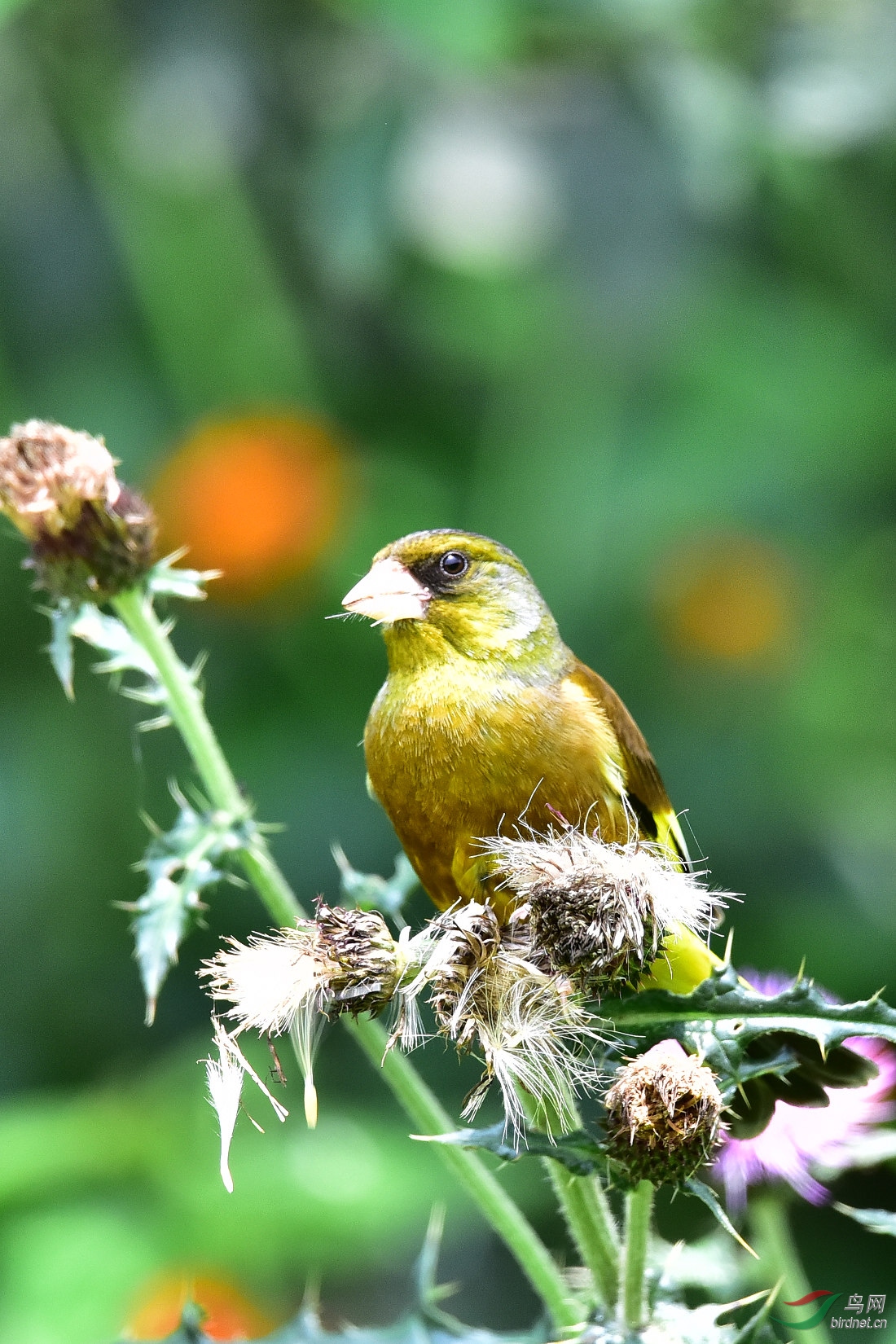 DSC_0838.JPG